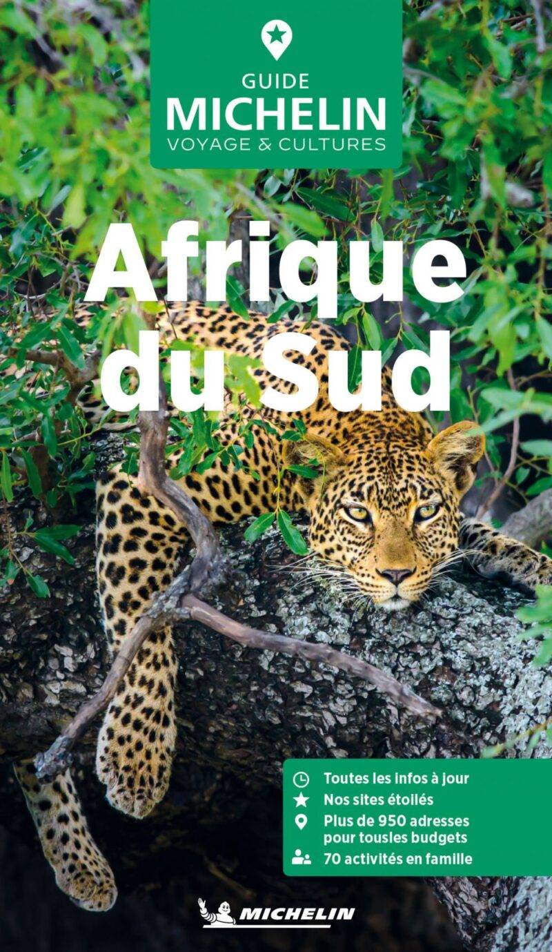 Guide Vert Afrique du Sud - ebook